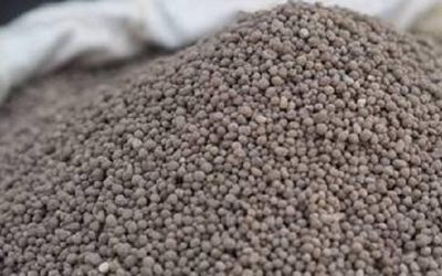 Di Ammonium Phosphate